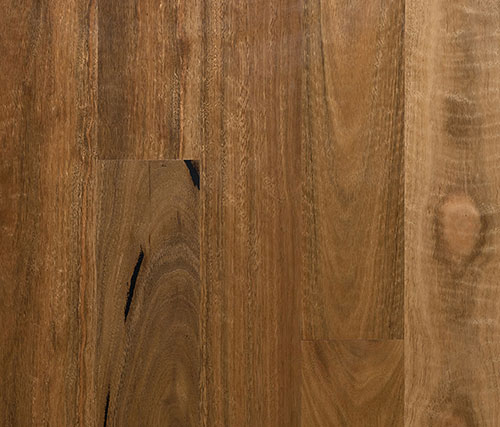 Preference Select Spotted Gum