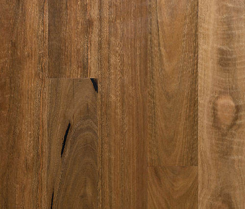 Preference Select Spotted Gum