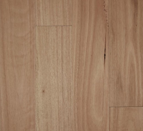 Fiddleback 12mm Semi-Gloss Blackbutt