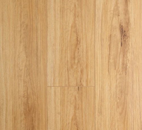 Oakleaf Laminate Blackbutt