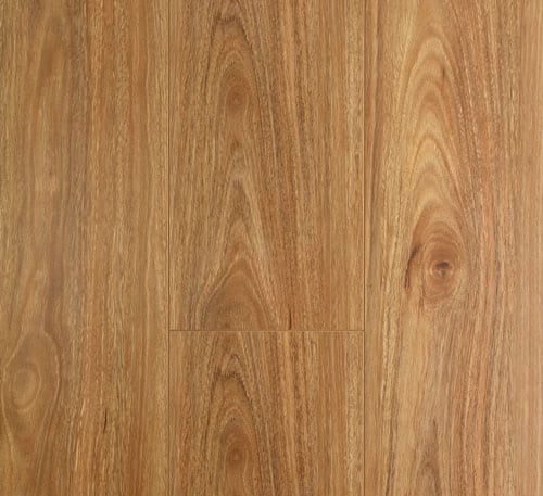 Oakleaf Laminate Spotted Gum