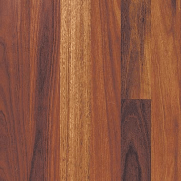 Spotted Gum