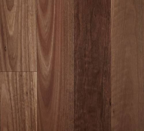 Fiddleback 12mm Semi-Gloss Spotted Gum