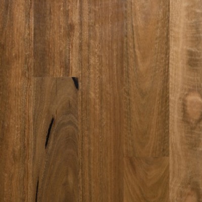 Preference Select Brushed Matt Spotted Gum