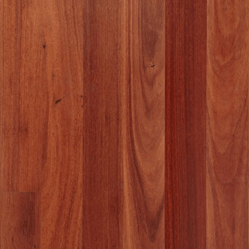 Red Mahogany