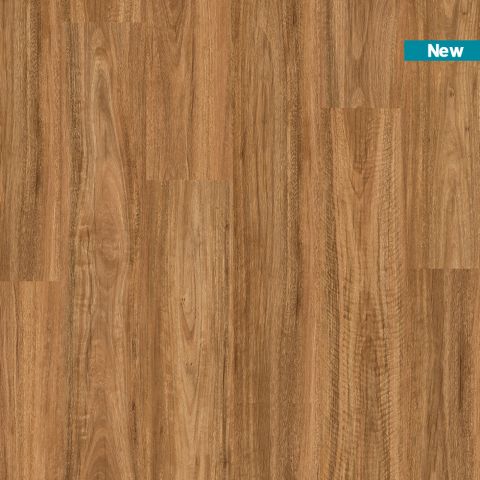 Titan Rigid Spotted Gum