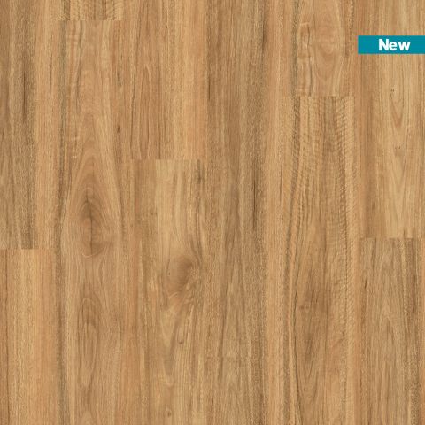 Titan Rigid Stonewashed Spotted Gum