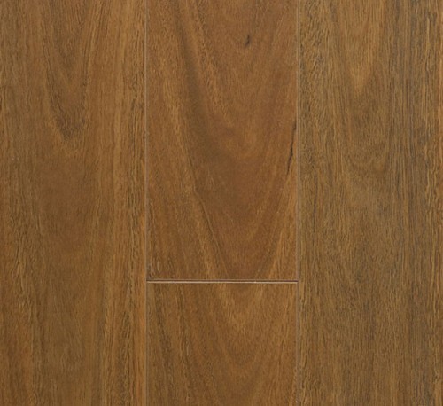 Preference Classic Mountain Spotted Gum