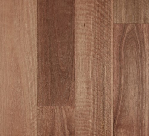 Fiddleback 12mm Brushed Matt Spotted Gum