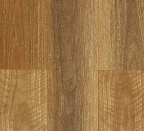 Aspire NSW Spotted Gum