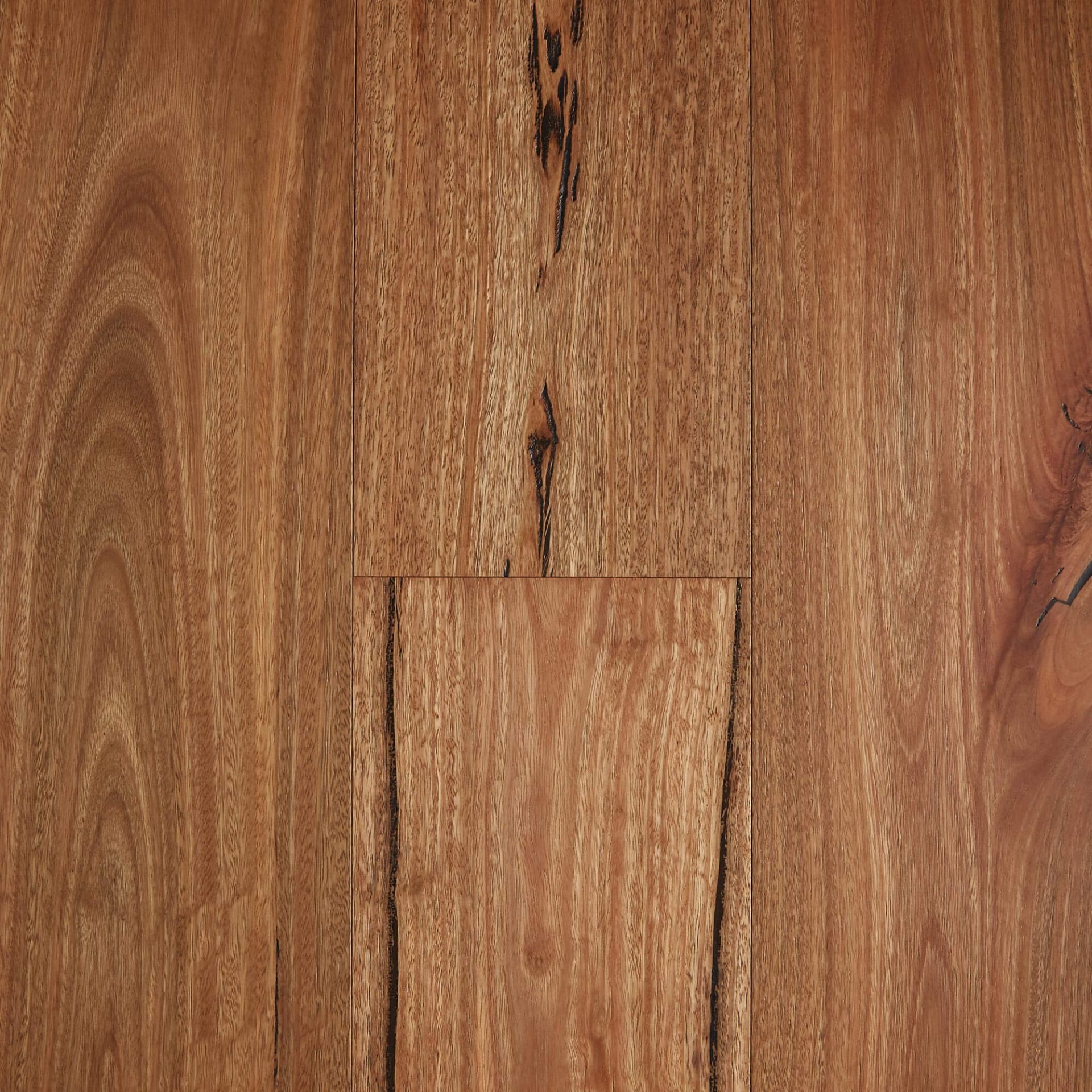 Rustic Spotted Gum