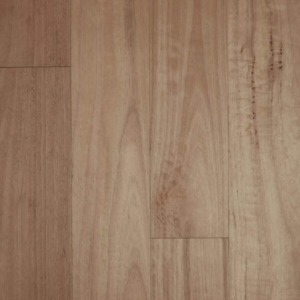 13mm Blackbutt