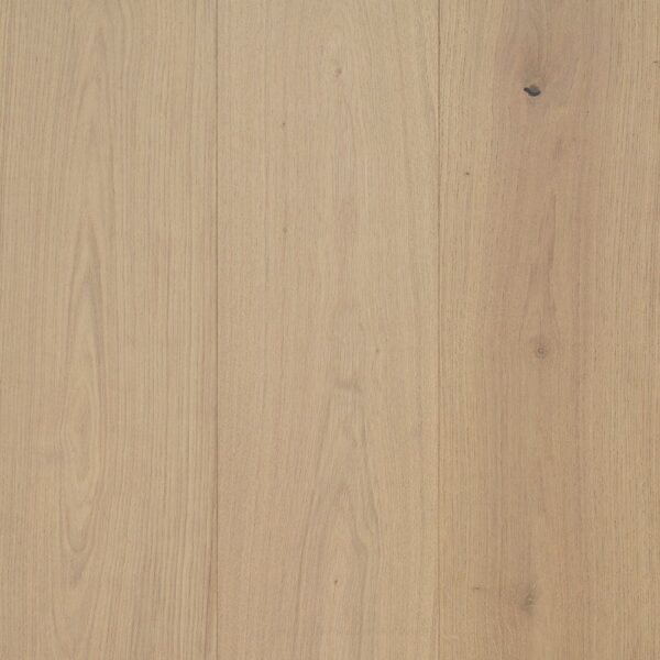 Camelot Oak