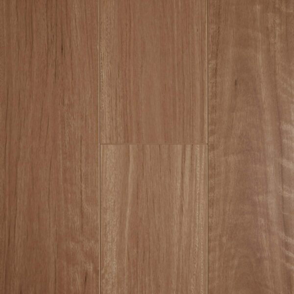 Aged Blackbutt