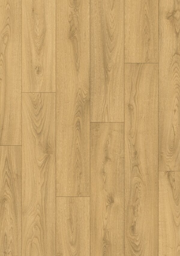 Sandy oak - Image 2