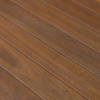 Spotted Gum