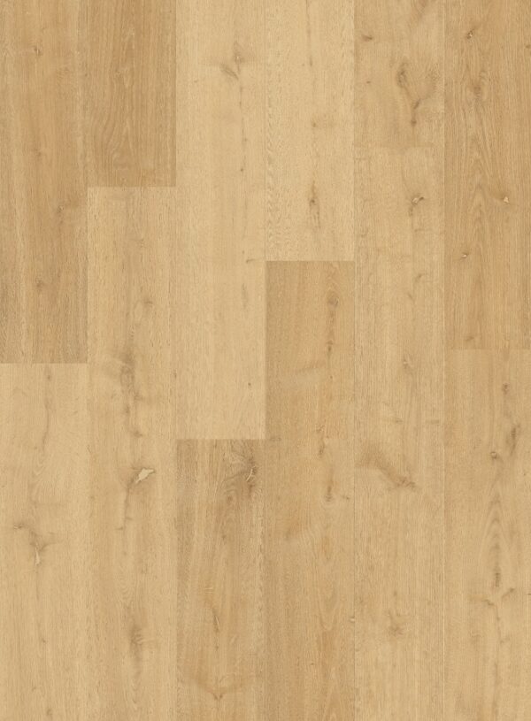 Elegant oak natural