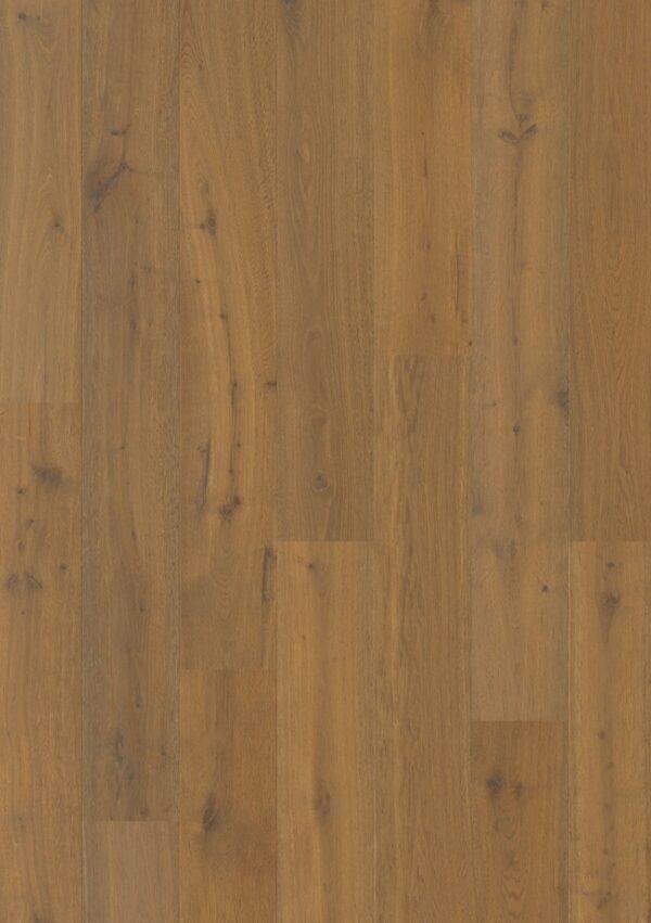 Spotted Gum 1 strip