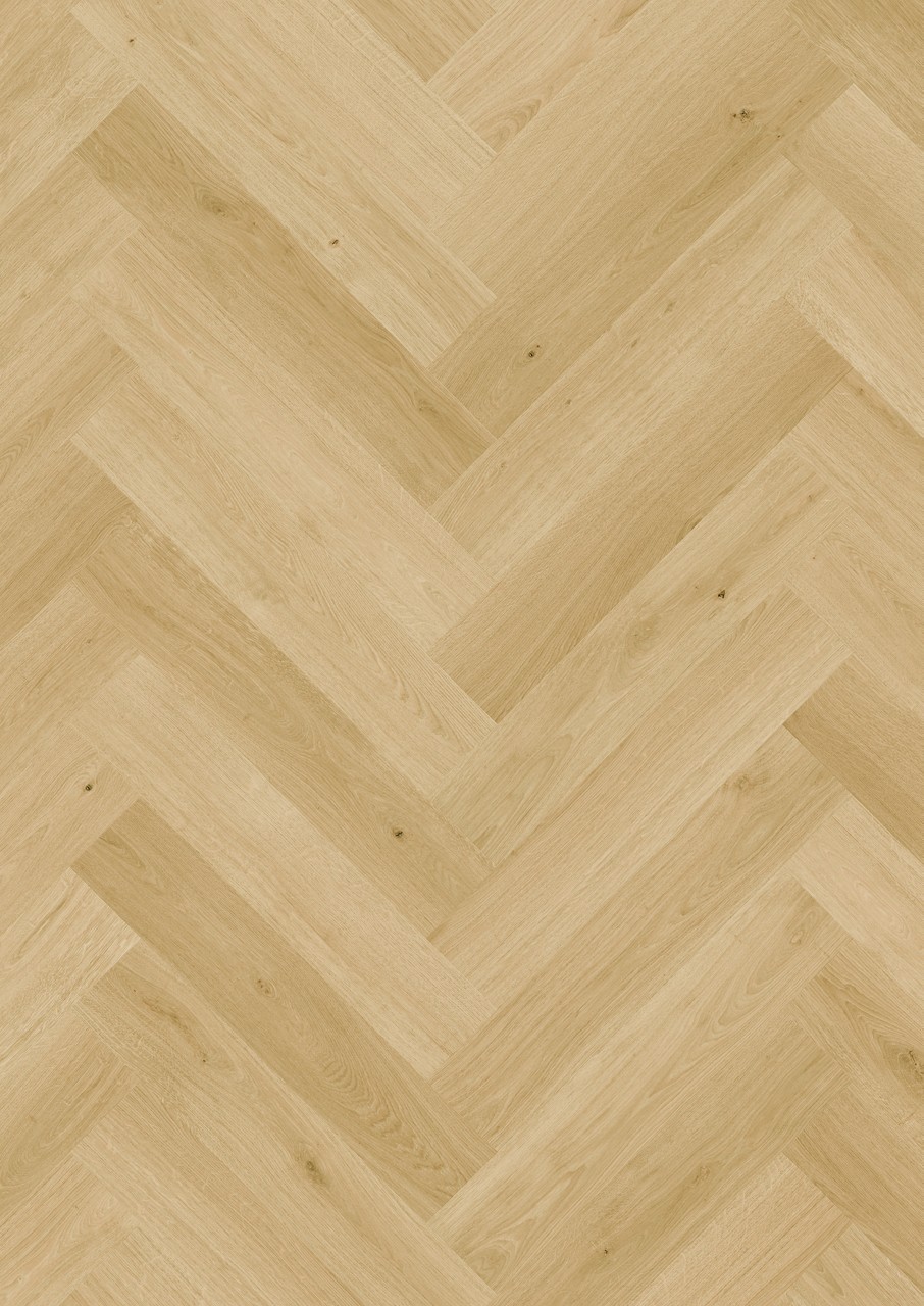 Cardamom oak