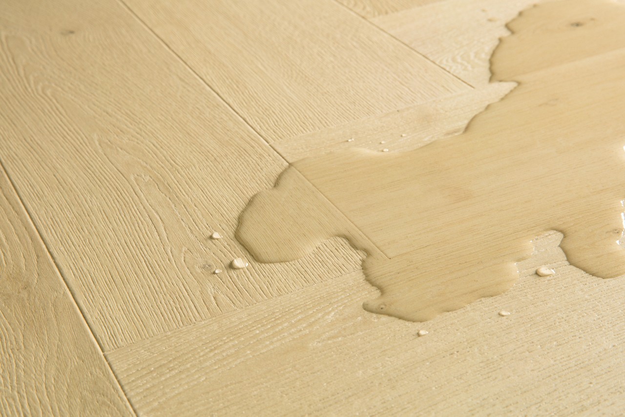 Ginger oak - Image 3