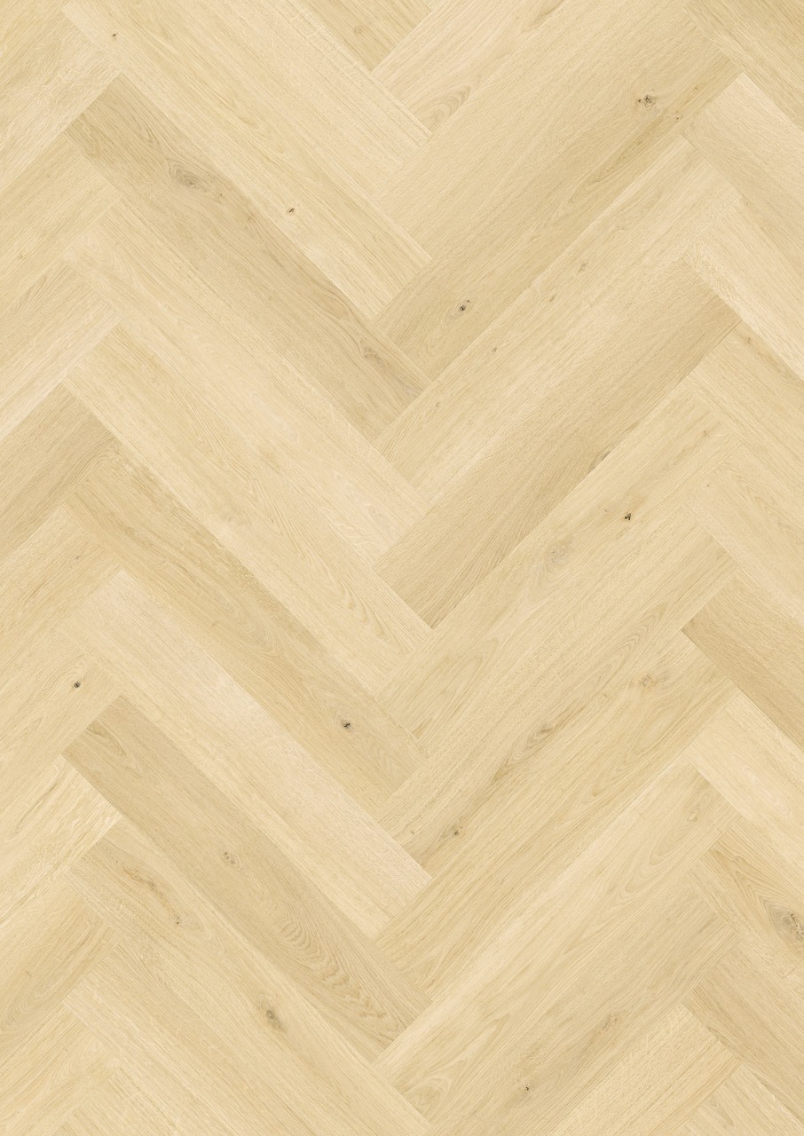 Ginger oak - Image 2