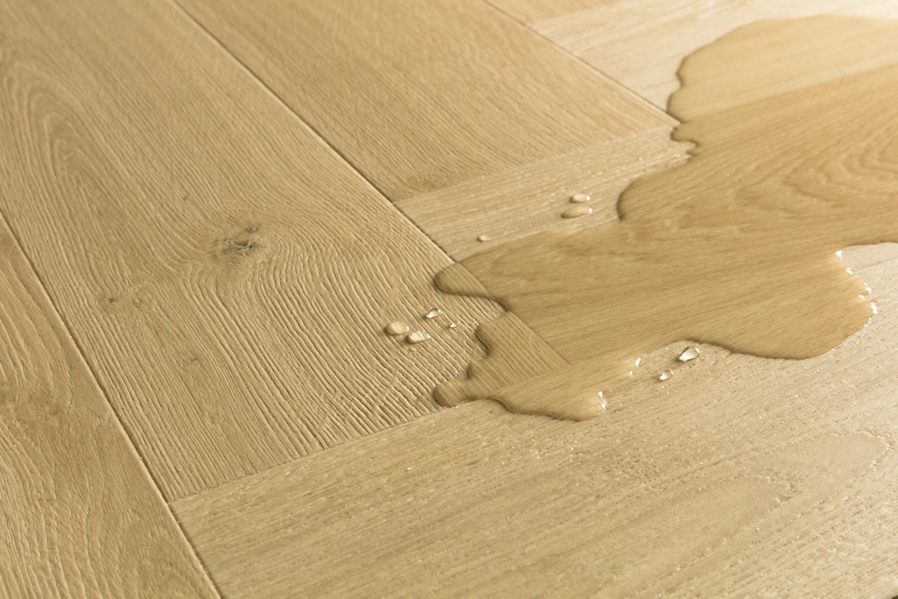 Cardamom oak - Image 3